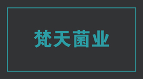 食品行业宁波宁海t恤衫设计款式